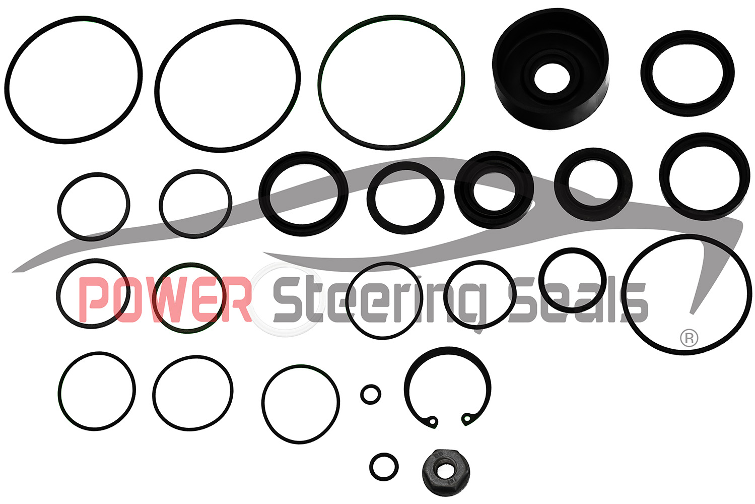 Power Steering Gear Kit Or Replacement
